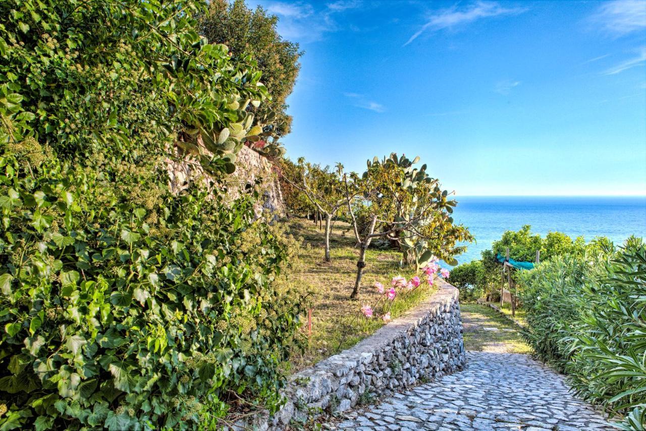 Villa Ad Maiori Exterior foto